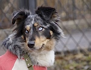 Групповые занятия