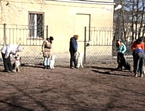 Групповые занятия