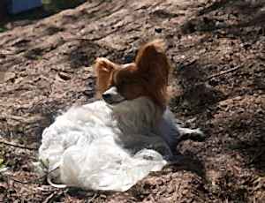 Летний лагерь 2017