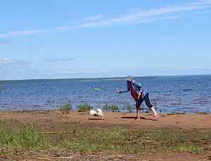 Летний лагерь 2017