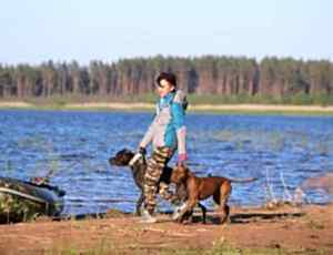 Летний лагерь 2017