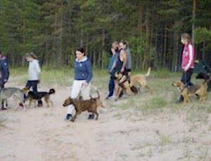 Летний лагерь 2017