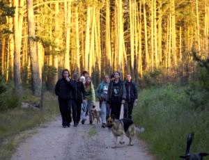 Летний лагерь 2017