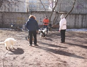 Групповые занятия