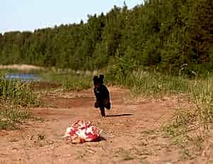 Летний лагерь 2017