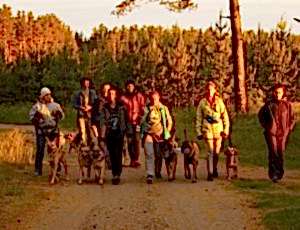 Летний лагерь 2017