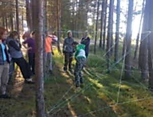 Летний лагерь 2017