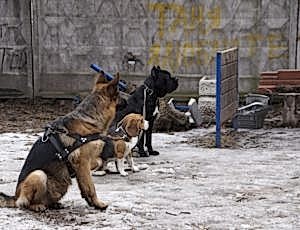 Групповые занятия