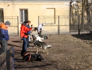 Групповые занятия