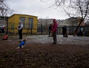 Групповые занятия