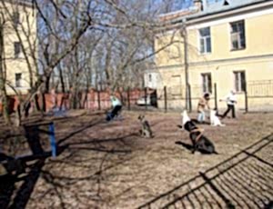 Групповые занятия