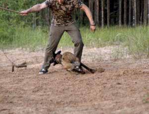 Летний лагерь 2017