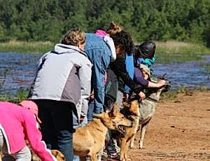 Летний лагерь 2017