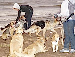 Летний лагерь 2017