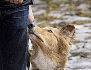 Групповые занятия