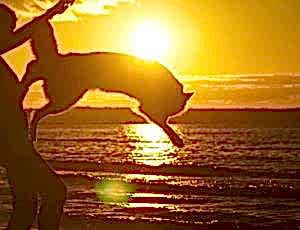 Летний лагерь 2017