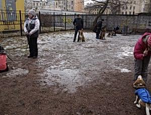 Групповые занятия