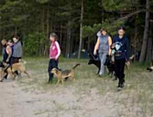 Летний лагерь 2017