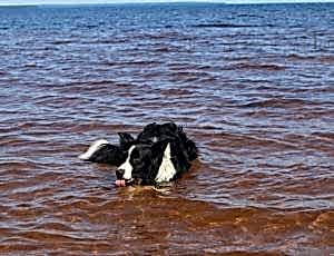 Летний лагерь 2017