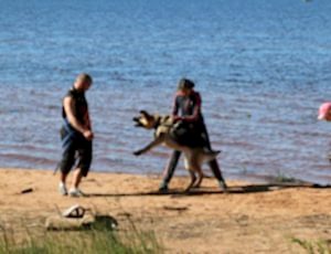 Летний лагерь 2017