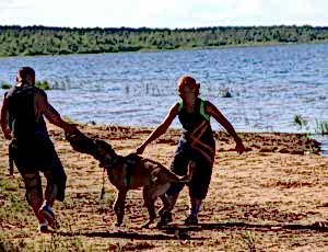 Летний лагерь 2017