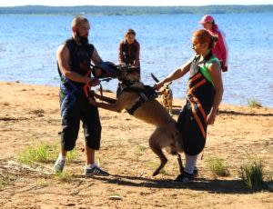 Летний лагерь 2017