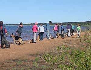 Летний лагерь 2017