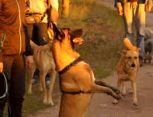 Летний лагерь 2017