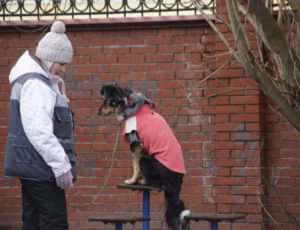 Групповые занятия