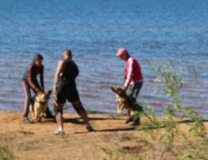 Летний лагерь 2017