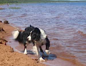 Летний лагерь 2017