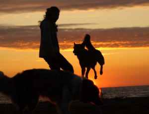 Летний лагерь 2017