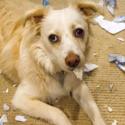 5 команд которые сделают вашу жизнь проще