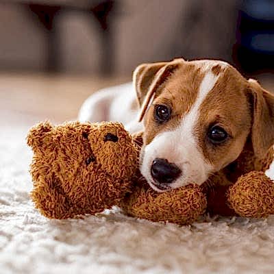 Заниматься индивидуально или в группе?