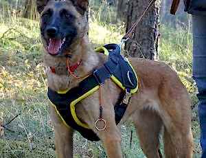 Летний лагерь 2018 - Фотоотчёт