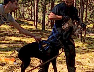 Летний лагерь 2018 - Фотоотчёт