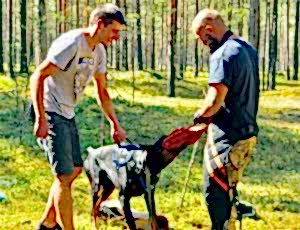 Летний лагерь 2018 - Фотоотчёт