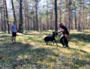 Летний лагерь 2018 - Фотоотчёт