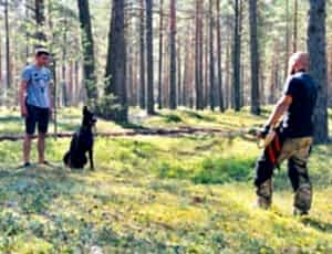 Летний лагерь 2018 - Фотоотчёт