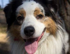 Летний лагерь 2018 - Фотоотчёт