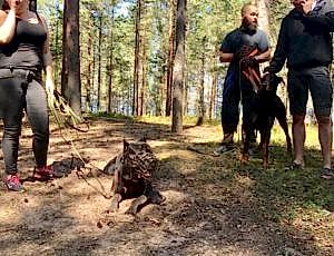 Летний лагерь 2018 - Фотоотчёт