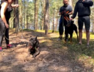 Летний лагерь 2018 - Фотоотчёт