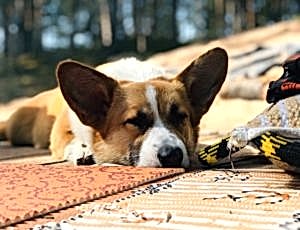 Летний лагерь 2018 - Фотоотчёт