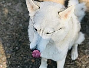 Летний лагерь 2018 - Фотоотчёт