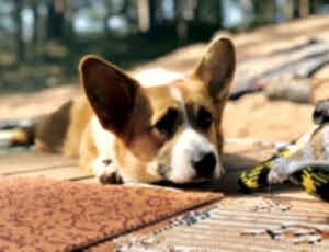 Летний лагерь 2018 - Фотоотчёт