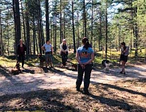 Летний лагерь 2018 - Фотоотчёт