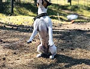 Летний лагерь 2018 - Фотоотчёт