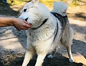 Летний лагерь 2018 - Фотоотчёт