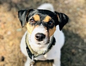 Летний лагерь 2018 - Фотоотчёт