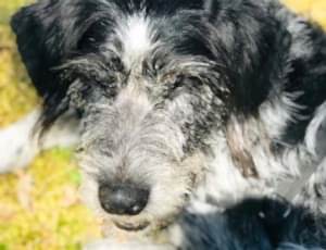 Летний лагерь 2018 - Фотоотчёт